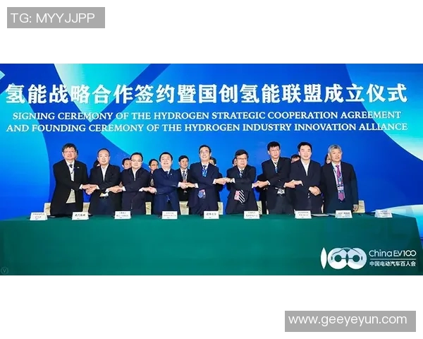 以团队合作为核心推动力助力企业创新与可持续发展