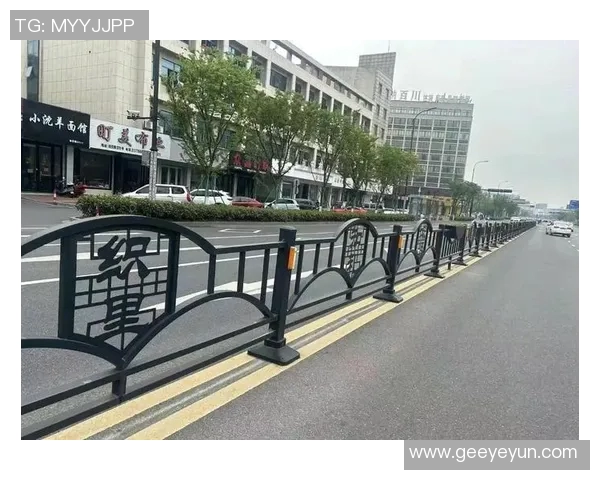 交通护栏在城市道路安全中的重要作用与设计优化研究