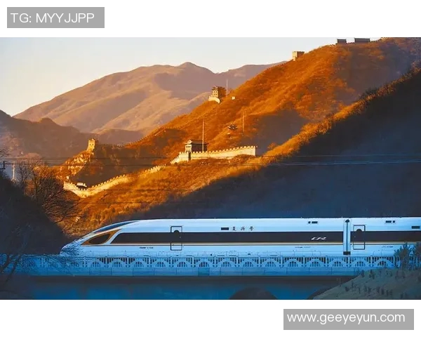 广州极限运动队的拼搏之路：一段不屈不挠的奋斗纪实