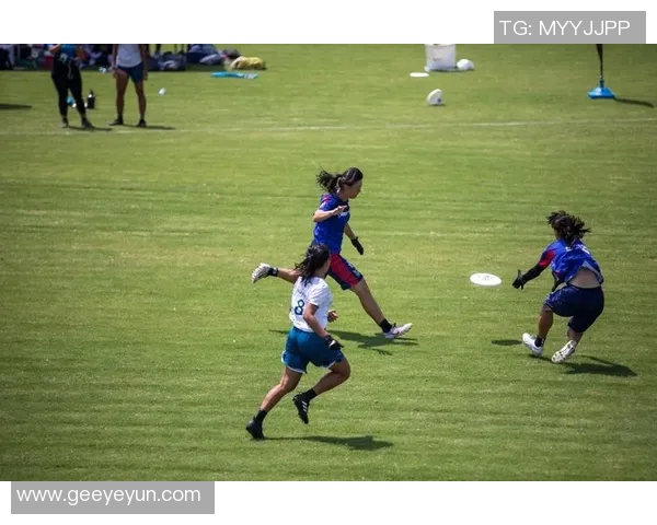 飞盘运动新风潮：深入分析上海飞盘队的战术控制与团队协作