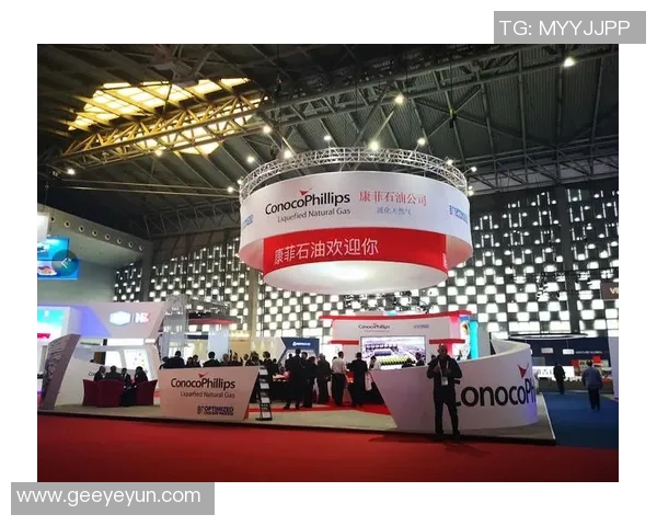 全球挑战赛分析LNG灵活性表现引发的市场变革与机遇探讨 全球挑战赛分析LNG灵活性表现引发的市场变革与机遇探讨