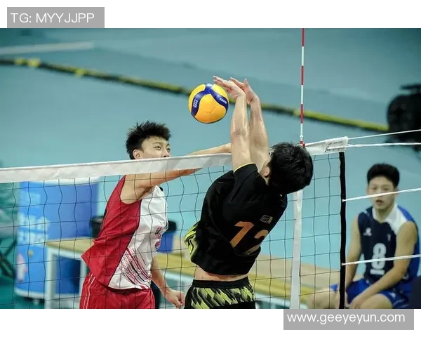 重庆排球队夺冠最新排球意识TOP10揭晓引发热议