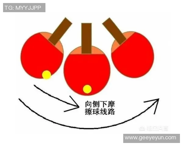 乒乓球专题：深入探讨杭州乒乓球队的速度与技巧训练之道