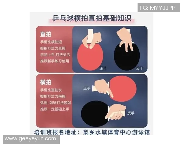从零基础到高手之路乒乓球比赛技巧与经验全解析 从零基础到高手之路乒乓球比赛技巧与经验全解析